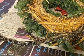 Мужчина купил рождественский венок и нашел в нем нежданчик