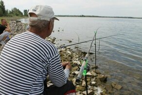 Безумные штрафы 2019 года