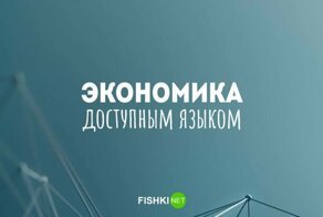 Доступным языком об экономике