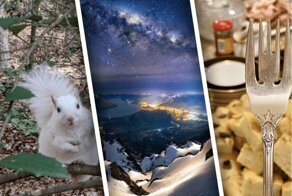 24 интересных фотографий удивительных вещей