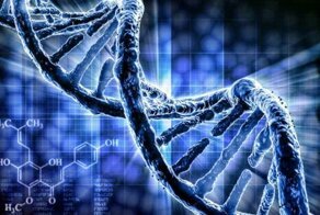 Несуществующая убийца и улики против невиновных