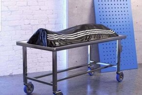 Жизнь в стиле Adidas. Самый чёткий пост на Фишках уже доступен