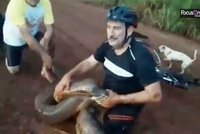 Мужчины спасли бездомного пса от анаконды