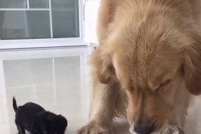 Начало новой прекрасной дружбы