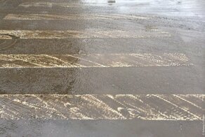 Русский дрист