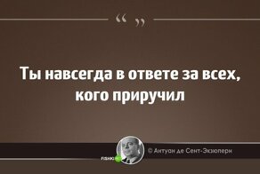 Цитаты Антуана де Сент-Экзюпери