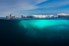 Ежедневная подборка запоминающихся снимков за 19.12.2019