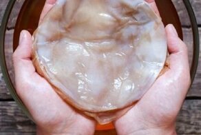 Почему чайный гриб болеет и перестает расти