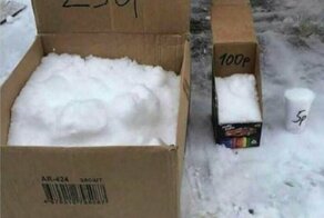 Котики, искусство и трусы стриптизерши: 25 годных идей для стартапа