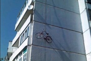 15 смекалистых товарищей, мимо которых не пролетит и муха