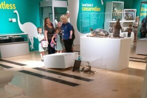 15 невезучих страдальцев, у которых выдался не самый лучший денёк