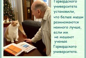 "Все идет хорошо, только мимо"