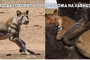 Что-то точно пошло не по плану