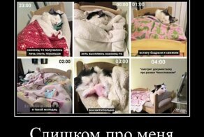 Жизненные демотиваторы 