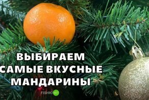 Какие мандарины самые вкусные