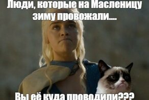 Смешные картинки из соц сетей