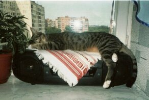 Одному тоскливо