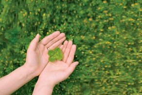 25 гифок о невероятном везении