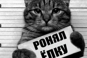 О двойственной природе снега