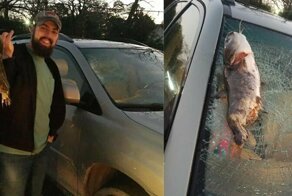 В США крупный сом с неба упал на автомобиль и разбил лобовое стекло