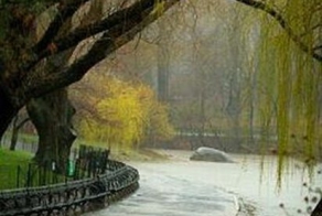 Выходи за меня... (10 фото)