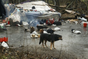 Далеко далеко....в Москве (11 фото)