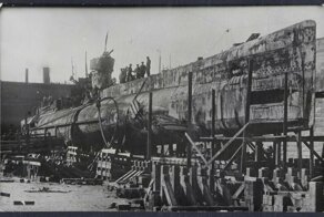 Англичанка для Балфлота