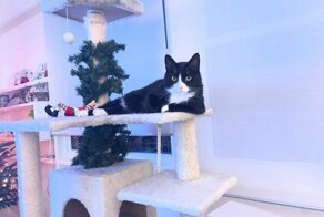 С добрым утром