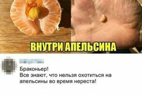 25 убойных комментариев, без которых посты не были бы такими интересными