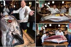 В Японии на аукционе продали тунца за 1,8 млн долларов