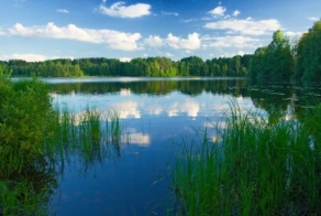 Наш прекрасный мир (20 фото)