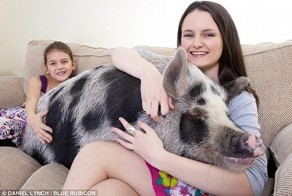 Купила тетя порося (7 фото)