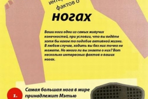 17 интересных фактов о ногах (2 картинок)
