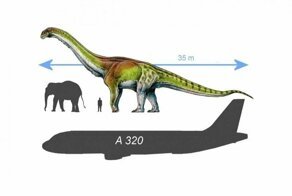Почему динозавры были гигантами?