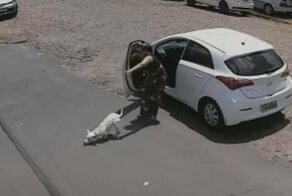 Видео: хозяйка покалеченной собаки решила от нее избавиться