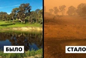 19 фото до и после пожаров в Австралии, которые показывают весь ужас случившегося