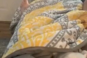 Забавная реакция собаки на своего хозяина