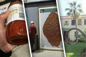 Интересные факты в интересных фото