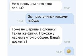 15 смешных и глупых сообщений, написанных в порыве страсти