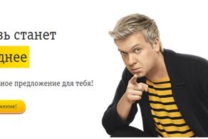 Beeline - ну и скоты же вы