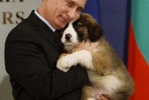 Владимир Путин с животными (24 фото)