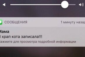 Улетные переписки между родителями и детьми, которые заставят удивиться и улыбнуться