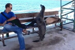 Гифки разные