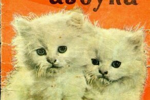 " Кошкина азбука "