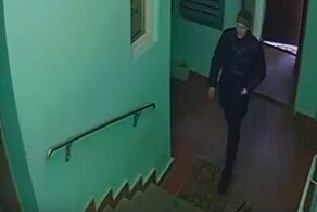 Девятилетняя девочка из Ступино обхитрила педофила