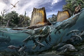 Климат во времена динозавров и чуть позже