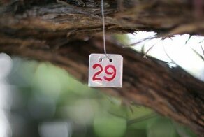 Лишний или дополнительный: почему в феврале високосного года 29 дней?