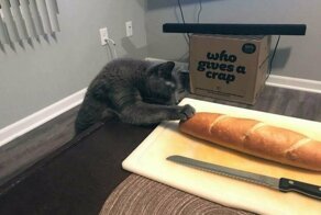 Голод не тетка