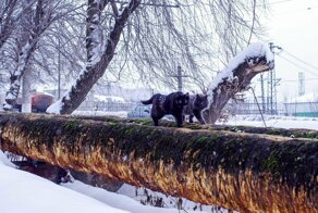 Провинциальная прогулка