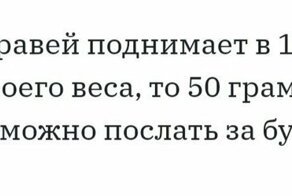 Сколько муравьев послать за пивом
